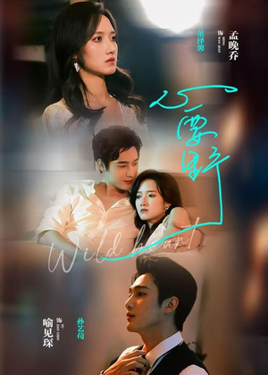 心要野（62集）正能量短剧分享