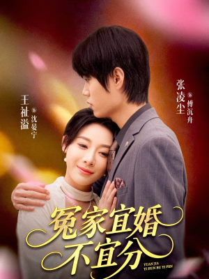 冤家宜婚不宜分(80集) 冤家宜婚不宜分(80集)精彩的短剧