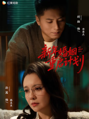 新年婚姻重启计划（70集）解说文案