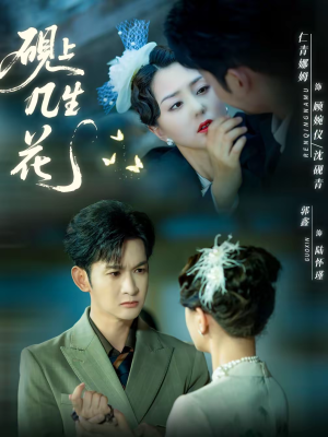 砚上几生花(62集) 砚上几生花(62集)精彩短剧分享