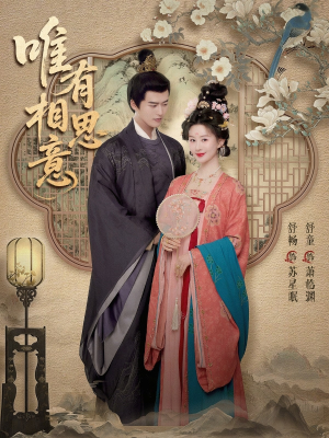 唯有相思意（100集）短剧分享片段