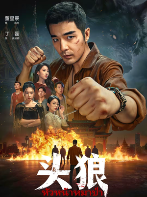 头狼(77集) 头狼(77集)短剧完整版免费