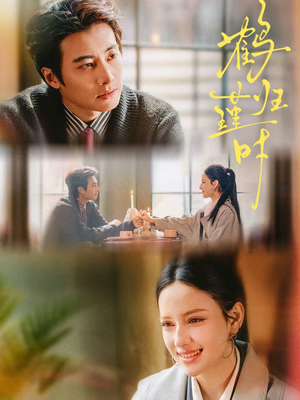 鹤归瑾时（81集）好看的国产短剧