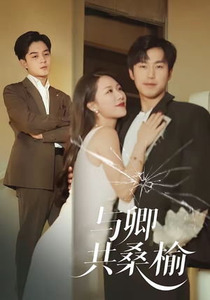 与卿共桑榆（63集）短剧上热门