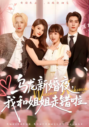 乌龙新婚夜，我和姐姐走错啦（59集）男主角是谁