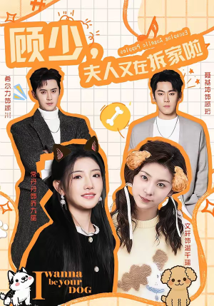 顾少，夫人又在拆家啦（78集）精彩的网络短剧