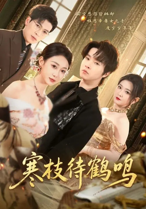 寒枝待鹤鸣（70集）全集免费