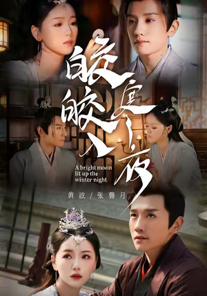 皎皎入寒夜(88集) 皎皎入寒夜(88集)在线观看