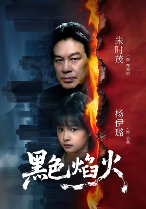 黑色焰火(41集) 黑色焰火(41集)精彩不断免费看