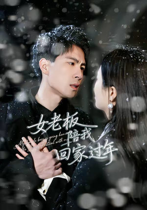 女老板陪我回家过年（40集）精彩短剧分享