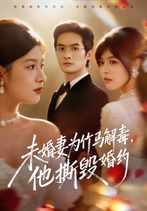 未婚妻为竹马解毒,他撕毁婚约(41集) 未婚妻为竹马解毒,他撕毁婚约(41集)观看软件