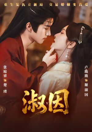 淑因（65集）让你一口气看完