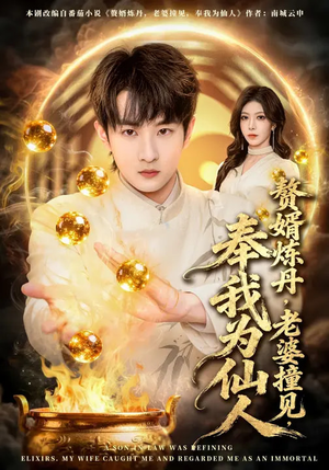 赘婿炼丹，老婆撞见，奉我为仙人（59集）短剧全集完整
