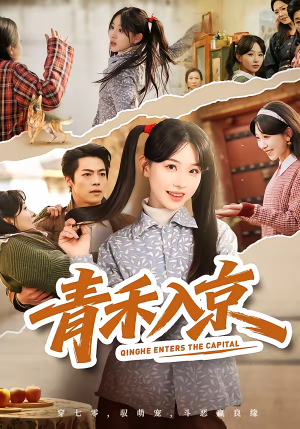 青禾入京（60集）好看短剧抢先看