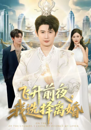飞升前夜，我选择离婚（80集）精彩好看的短剧