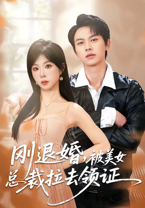 刚退婚，被美女总裁拉去领证（81集）短剧追到爽