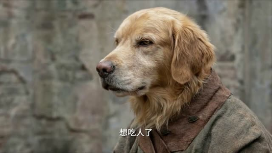 教书五年，我教出满门妖神（66集）免费短剧全集看