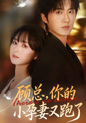顾总，你的小孕妻又跑了（47集）独家资源免费看
