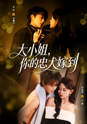 大小姐，你的忠犬嫁到（80集）演的怎么样