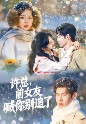 许总，前女友喊你别追了（80集）网络小短剧