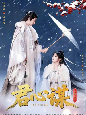 君心谋（80集）短剧介绍