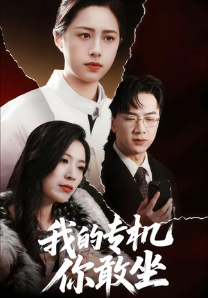 我的专机你敢坐（62集）在哪里看