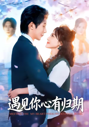 遇见你心有归期（81集）超好看短剧推荐
