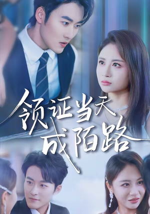 领证当天成陌路（39集）精彩短剧下载