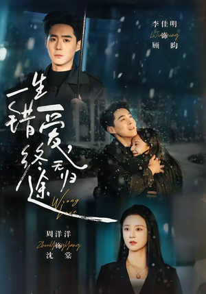 一生错爱,终无归途(74集) 一生错爱,终无归途(74集)短剧解说热门