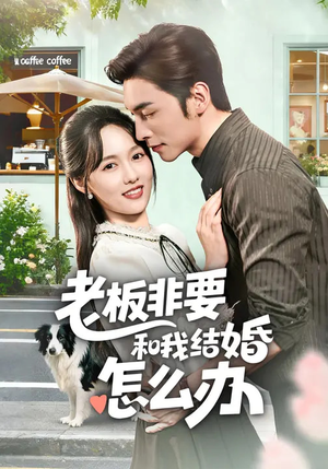 老板非要和我结婚怎么办(50集) 老板非要和我结婚怎么办(50集)网上可以看吗