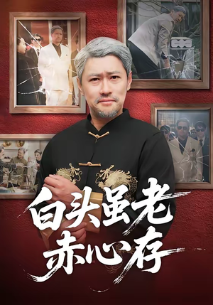白头虽老赤心存(71集) 白头虽老赤心存(71集)第一季