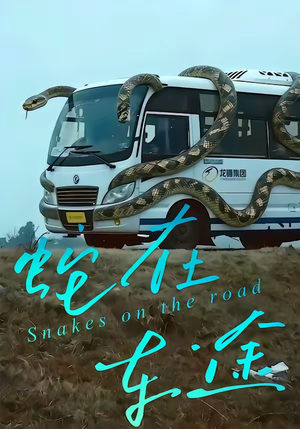 蛇在车途（34集）我真的爱了