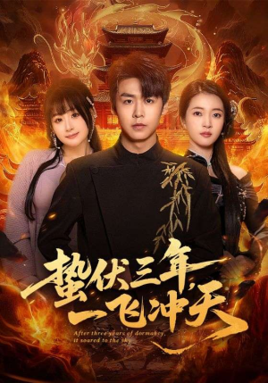 蛰伏三年，一飞冲天（60集）口碑之选免费看