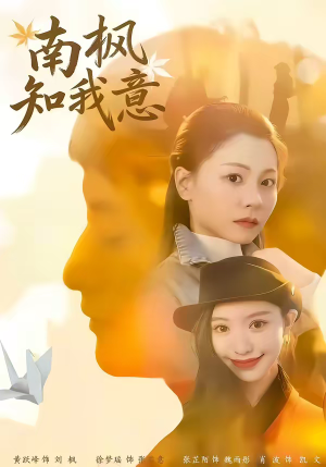 南枫知我意（41集）这部短剧我爱了