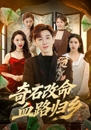 奇石改命血路归乡（81集）精彩短剧来了