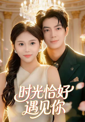 时光恰好遇见你(80集) 时光恰好遇见你(80集)第一季