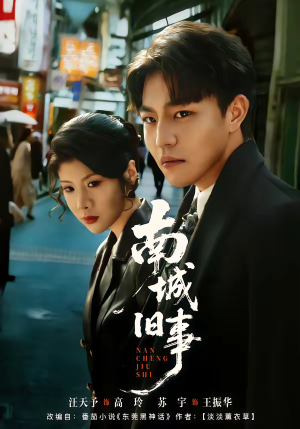 南城旧事（80集）在哪个平台能看