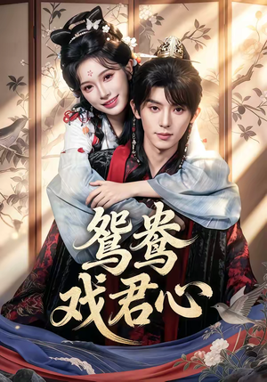 鸳鸯戏君心（60集）爆火短剧推荐