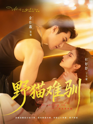 野猫难驯（73集）哪个网站可以看