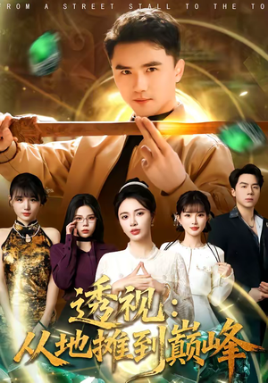 透视：从地摊到巅峰（81集）一共多少集