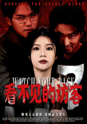 看不见的访客（62集）免费看