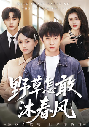 野草怎敢沐春风(61集) 野草怎敢沐春风(61集)精彩的短剧