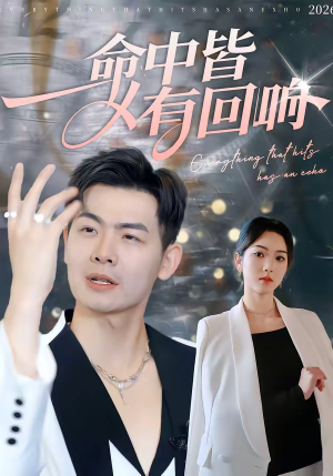 命中皆有回响（62集）UC网盘在线看