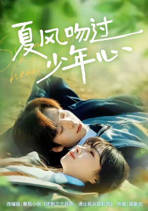 夏风吻过少年心(76集) 夏风吻过少年心(76集)短剧太好看