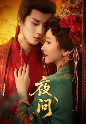 夜问（60集）UC网盘在线看