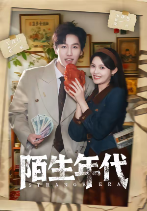 陌生年代（104集）免费版