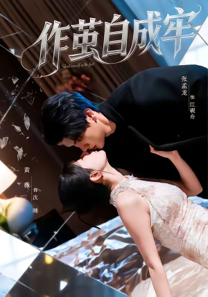 作茧自成牢(52集) 作茧自成牢(52集)第一季