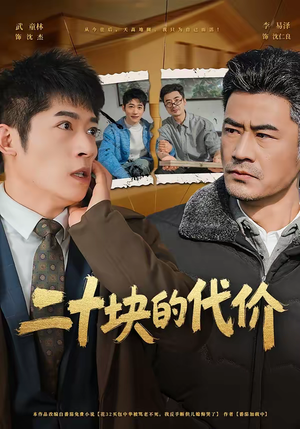 二十块的代价(64集) 二十块的代价(64集)免费观看