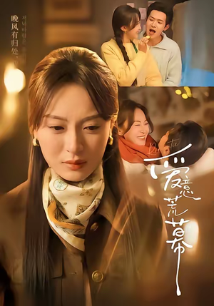 爱意荒幕（70集）太好看了短剧