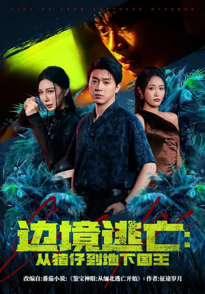 边境逃亡：从猪仔到地下国王（81集）热门短剧排行榜